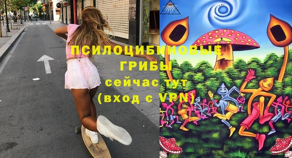крисы Алексеевка